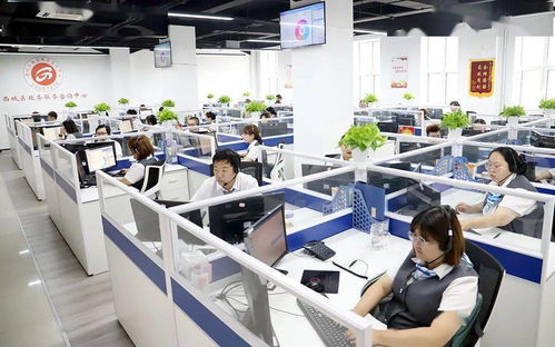 區(qū)政務(wù)服務(wù)管理局與醫(yī)保局聯(lián)動推進“未訴先辦” 信息咨詢服務(wù)提升群眾滿意度